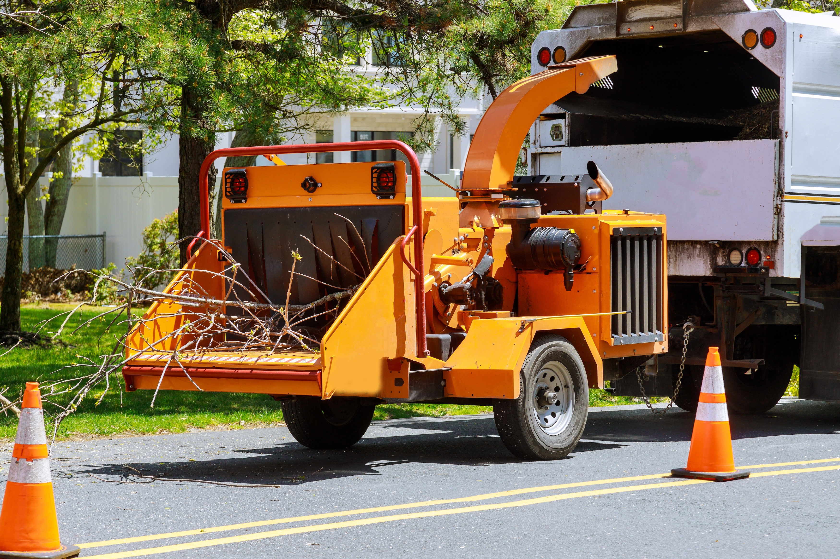 Wood chipper blowing tree branches cut A tree chipper or wood chipper is a portable machine used for reducing wood into smaller wood chips. Storm damage tree after a storm